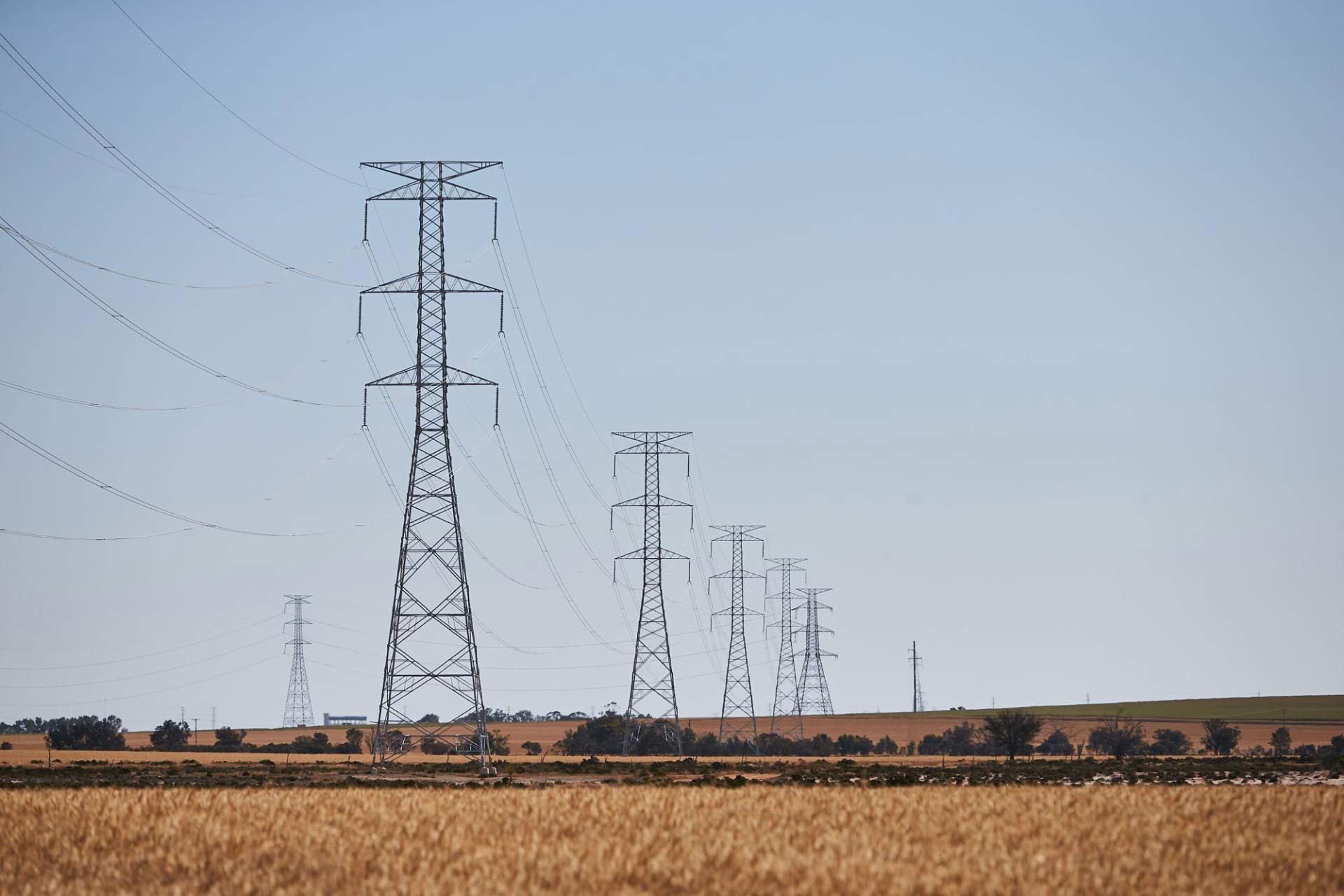 Electricity transmission towers and powerlines in a field