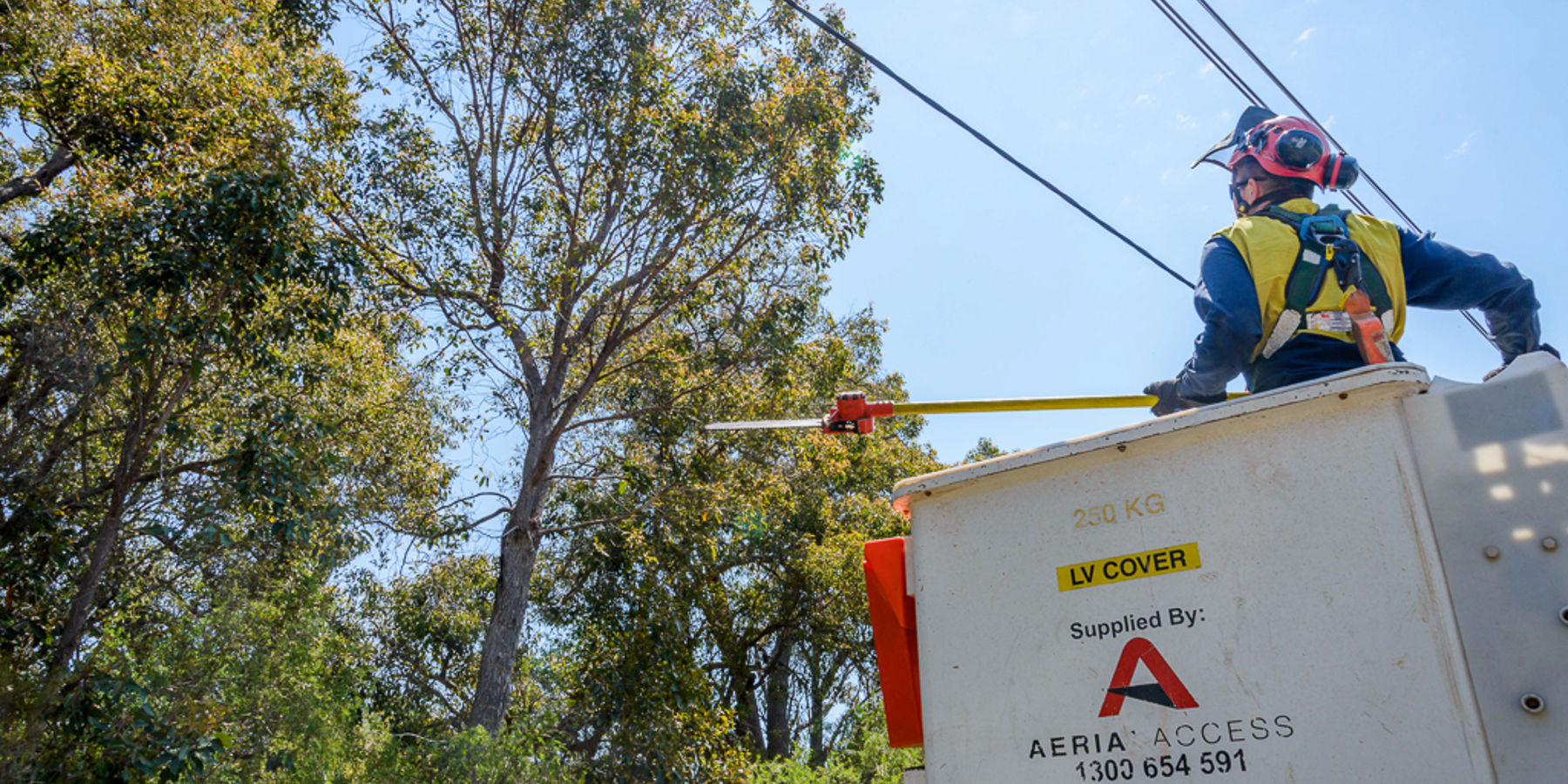 A man wearing safety equipment on an aerial work platform trimming trees that are located near powelines
